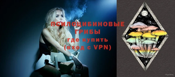 ПСИЛОЦИБИНОВЫЕ ГРИБЫ Бородино