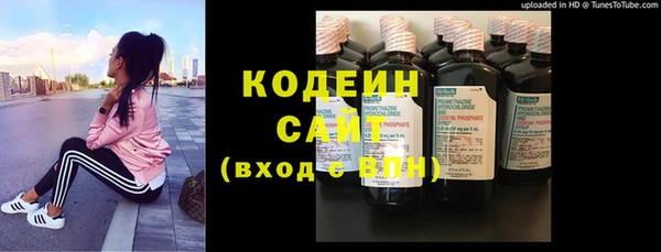 ПСИЛОЦИБИНОВЫЕ ГРИБЫ Бородино