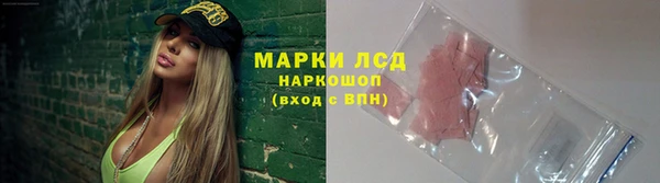 ПСИЛОЦИБИНОВЫЕ ГРИБЫ Бородино